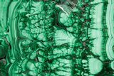 Flowery Polished Malachite Slab - D R Congo #379802-1
